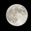 お月見 中秋の名月